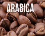 Mua cà phê Arabica ở đâu?